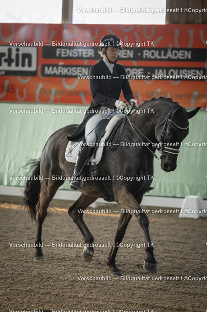 _D5A7647 | Emotionale Pferde- & People-Fotografie rund um Heidelberg, Leimen & Umgebung. Natürliche Fotos von Pferd, Mensch & Familie. Jetzt Termin sichern!