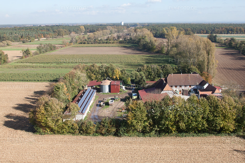 Luftbild: Leistenmühle in Erlenbach bei Kandel im Bundesland Rheinland-Pfalz in Deutschland. Foto: IMG_34939.jpg vom 26.10.2010 durch Werner Riehm/FLY-FOTO.de