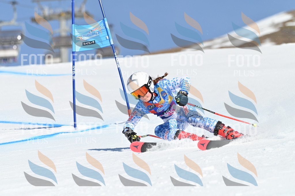 BGV_8202 | holidayphoto