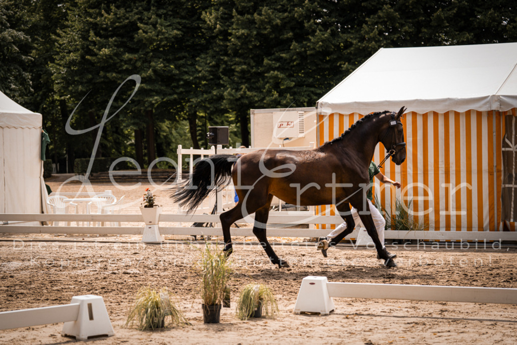 3.Fr00062 | Leoni Ertmer Photography - Realisiert mit Pictrs.com