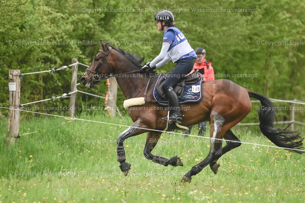 20230513_CCI4_Gelände_0210 | equistock
