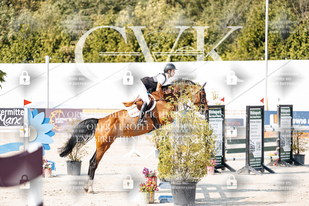 CK902086 | Turnierfotografie Pferdefotografie Trier Rheinland-Pfalz Pferdesport Reitsport Tierfotografie Sportfotografie Pferdevideo Pferdevideografie Equestrianvideography equestrianphotography  - Realisiert mit Pictrs.com