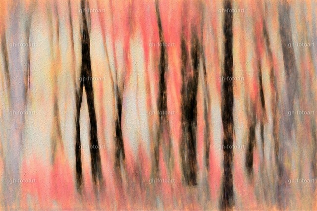 sundown in the woods | Creative photoart by Gerd Herm. - Realisiert mit Pictrs.com