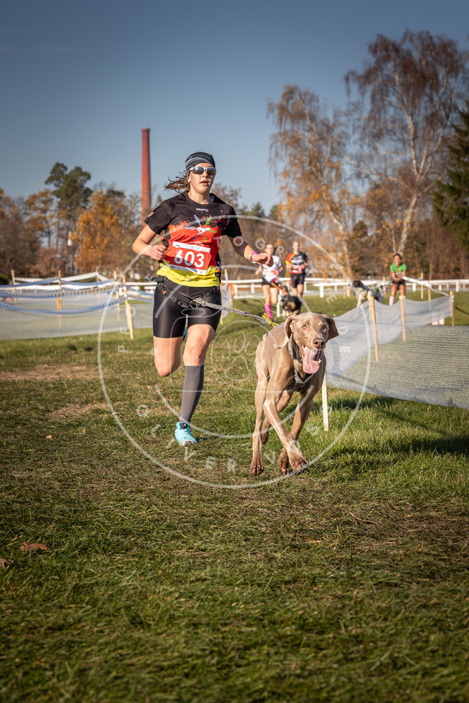 CaniXpix_0L8A8560 | Hundefotografie, Tierfotograf, Pfotenfotografie, Fotoshooting Hund, Hunde Portrait, Hundesport, Hundeportraits, Heideshooting, Hunde, Sportfotograf, Hundefotograf, Turnierhundsport, THS,  - Realisiert mit Pictrs.com