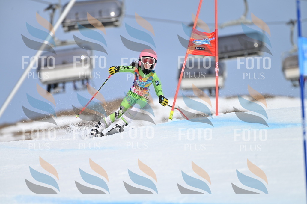 BGV_0228 | holidayphoto