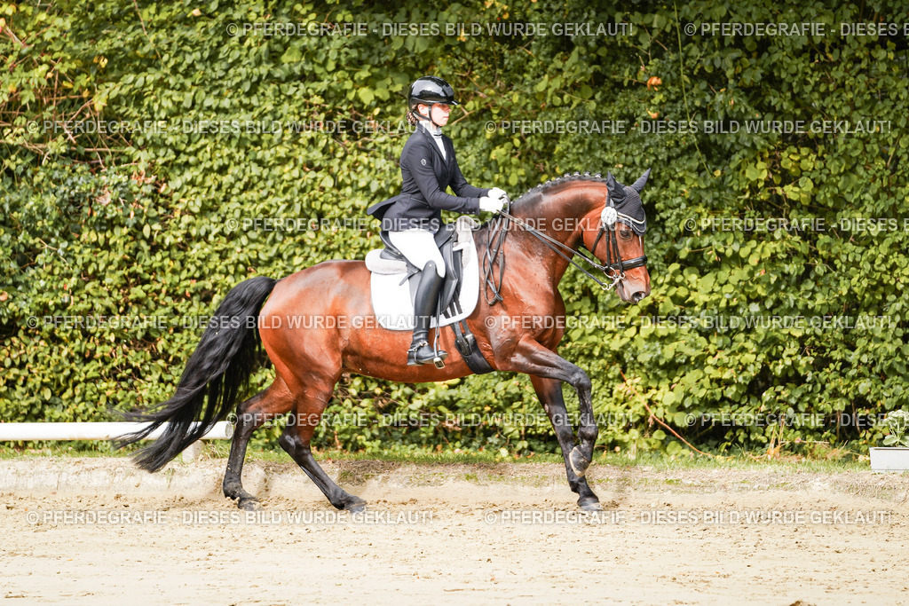 DSC01995 | Pferdegrafie