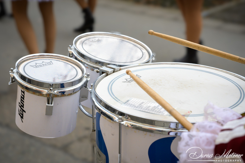 Die Mainzer Fastnacht | Die Mainzer Fastnacht