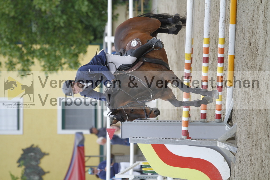 _MG_1130 | equestrian-live-com