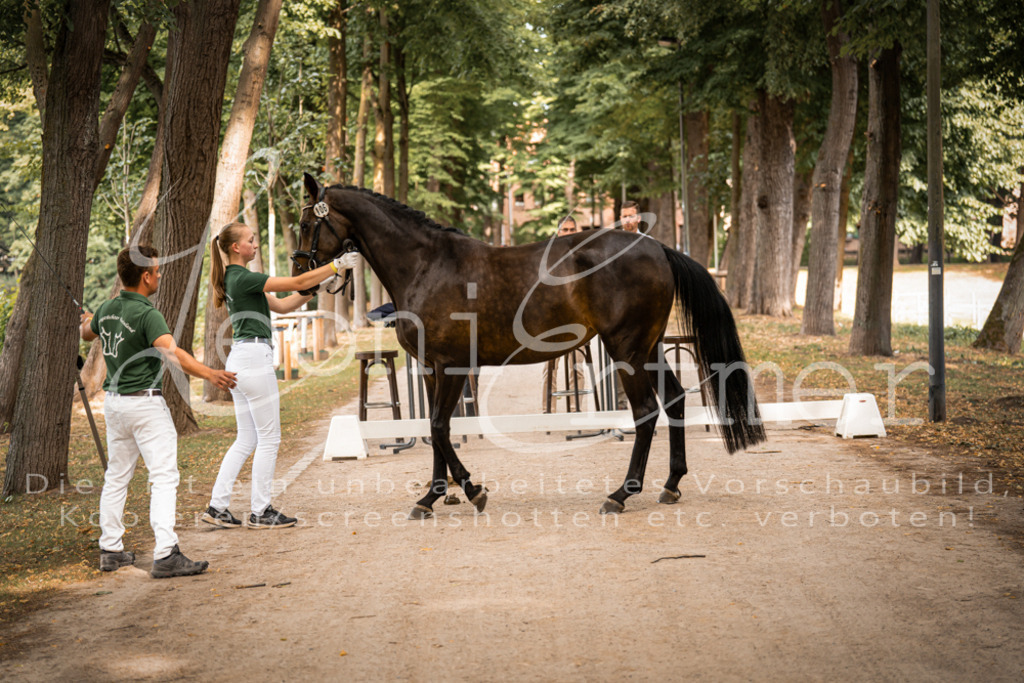 FrPfM00053 | Leoni Ertmer Photography - Realisiert mit Pictrs.com