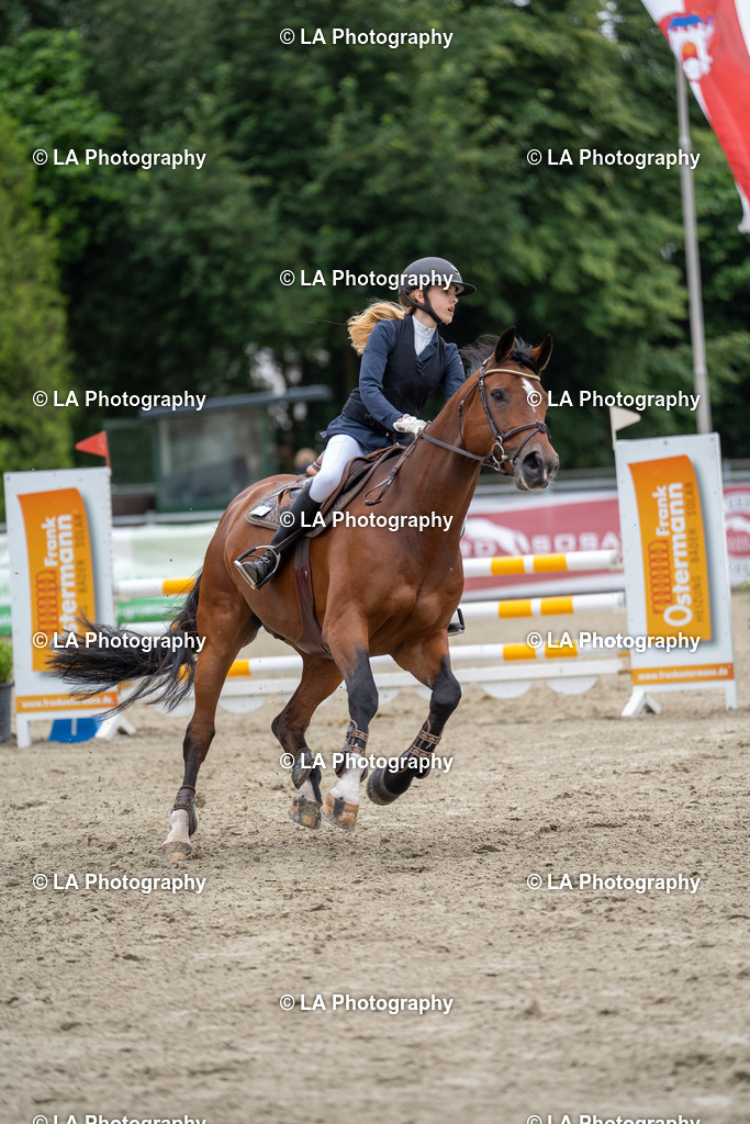 DSC06536 | Entdecke einzigartige Turnierfotos und persönliche Pferde- und Hundeportraits bei LA Photography. Für jeden Reiter und Pferd das perfekte Bild! Stöbere jetzt! - Realisiert mit Pictrs.com