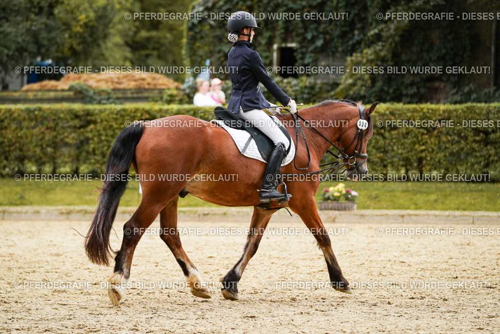 DSC09976 | Pferdegrafie