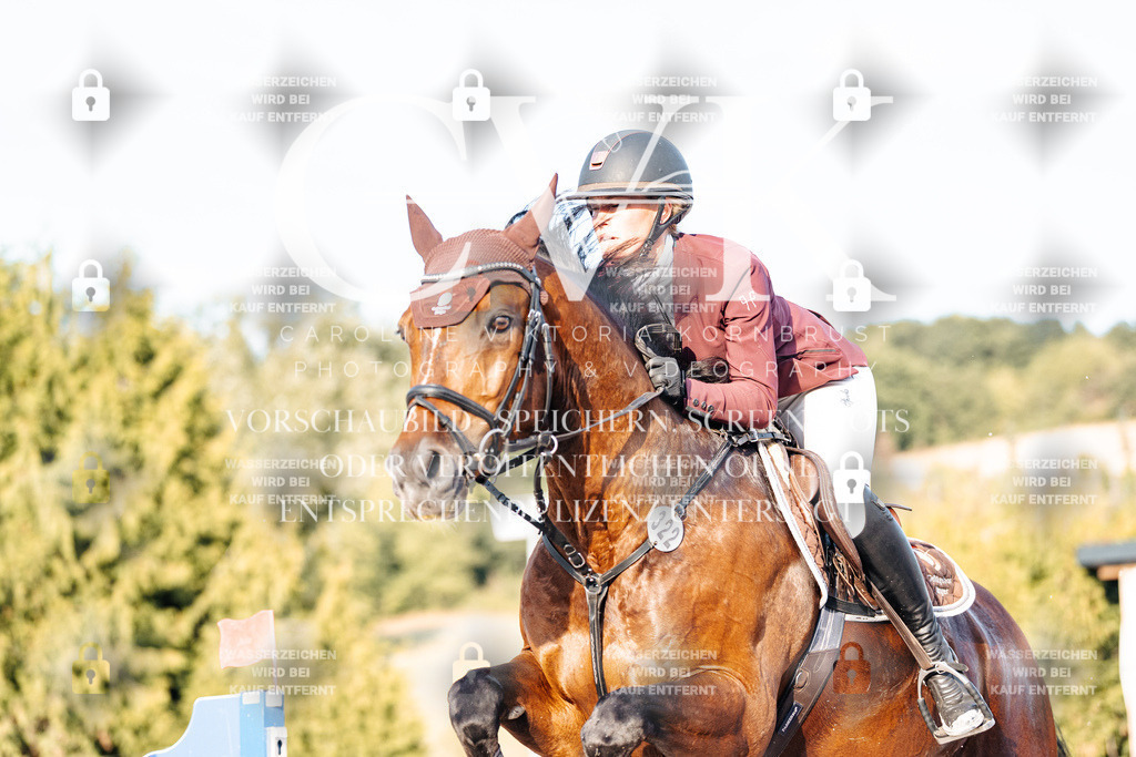CK903557 | Turnierfotografie Pferdefotografie Trier Rheinland-Pfalz Pferdesport Reitsport Tierfotografie Sportfotografie Pferdevideo Pferdevideografie Equestrianvideography equestrianphotography  - Realisiert mit Pictrs.com