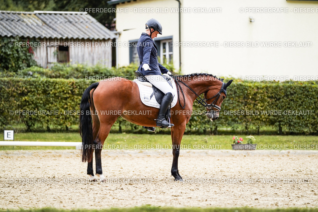 DSC01346 | Pferdegrafie