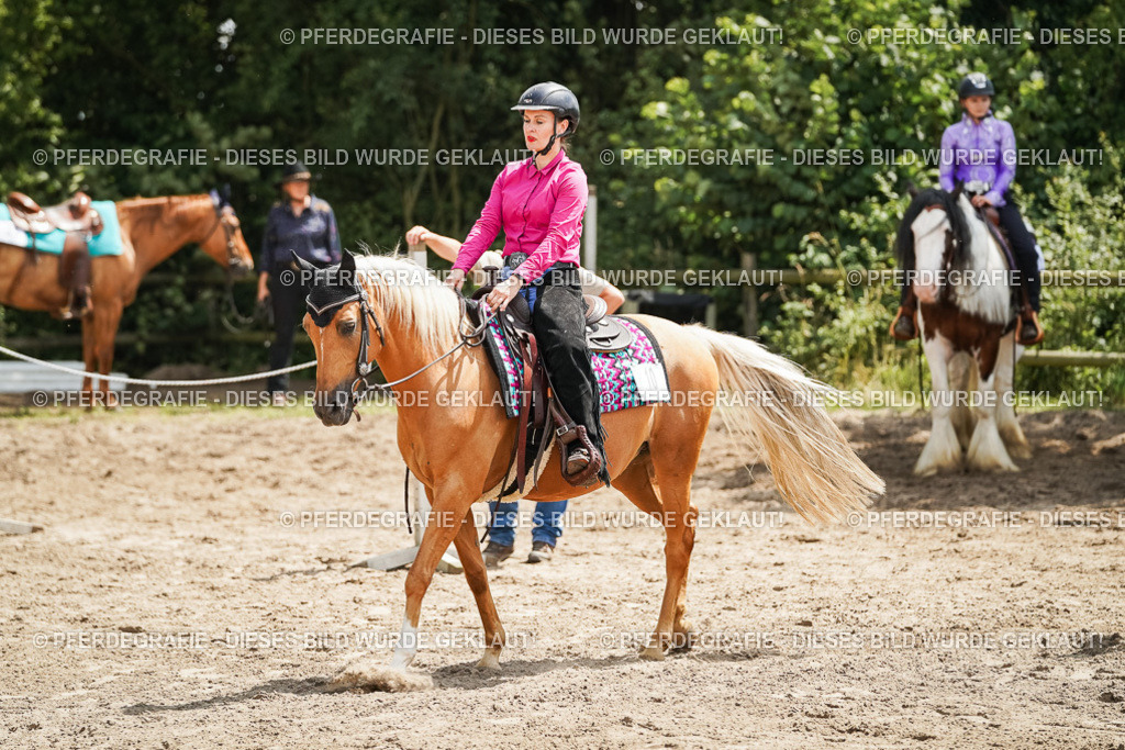 DSC08011 | Pferdegrafie