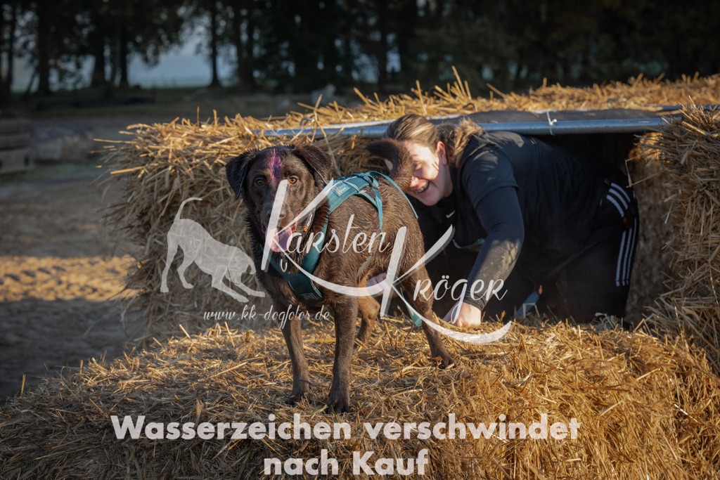 0904_ZZ91033 | kk-dogfotos