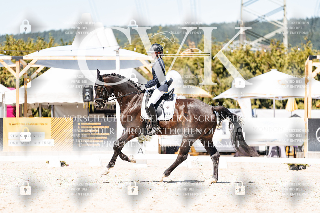 CK900284 | Turnierfotografie Pferdefotografie Trier Rheinland-Pfalz Pferdesport Reitsport Tierfotografie Sportfotografie Pferdevideo Pferdevideografie Equestrianvideography equestrianphotography  - Realisiert mit Pictrs.com