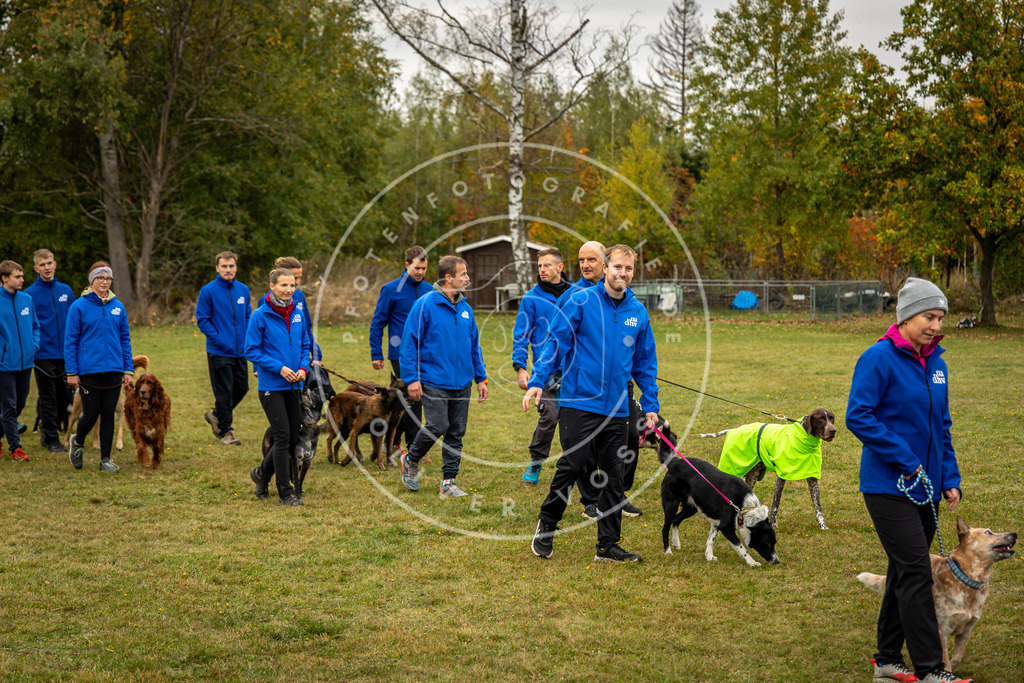 Pfotenfotografie_0L8A0308 | Hundefotografie, Tierfotograf, Pfotenfotografie, Fotoshooting Hund, Hunde Portrait, Hundesport, Hundeportraits, Heideshooting, Hunde, Sportfotograf, Hundefotograf, Turnierhundsport, THS,  - Realisiert mit Pictrs.com