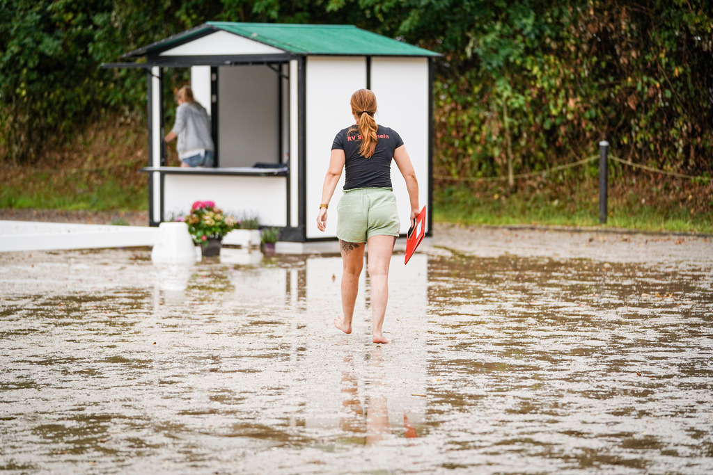 DSC00154 | Pferdegrafie