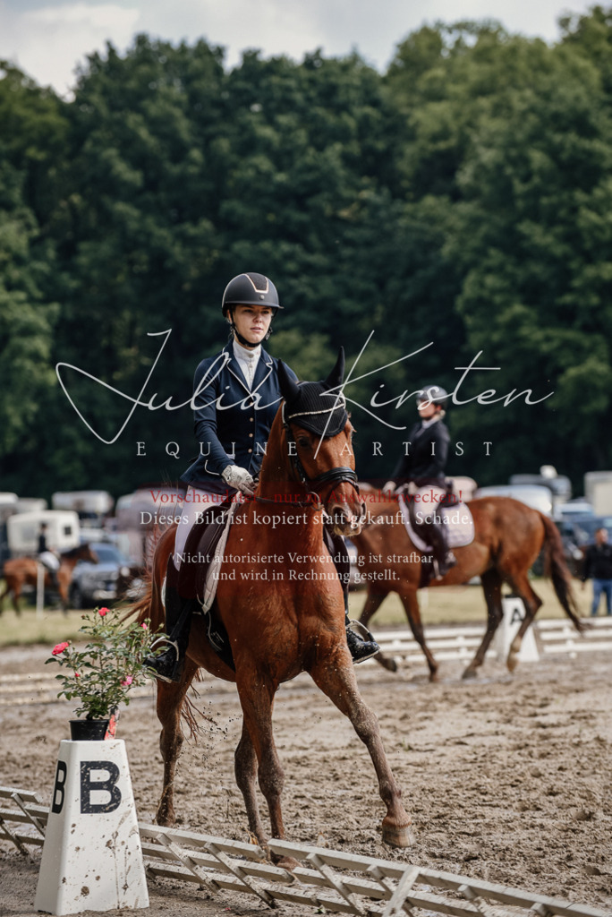 DSC_8960 | Pferde- und Turnierfotografie in Westsachsen. Pferdeportraits, Auftragszeichnungen und intuitive Kunst.