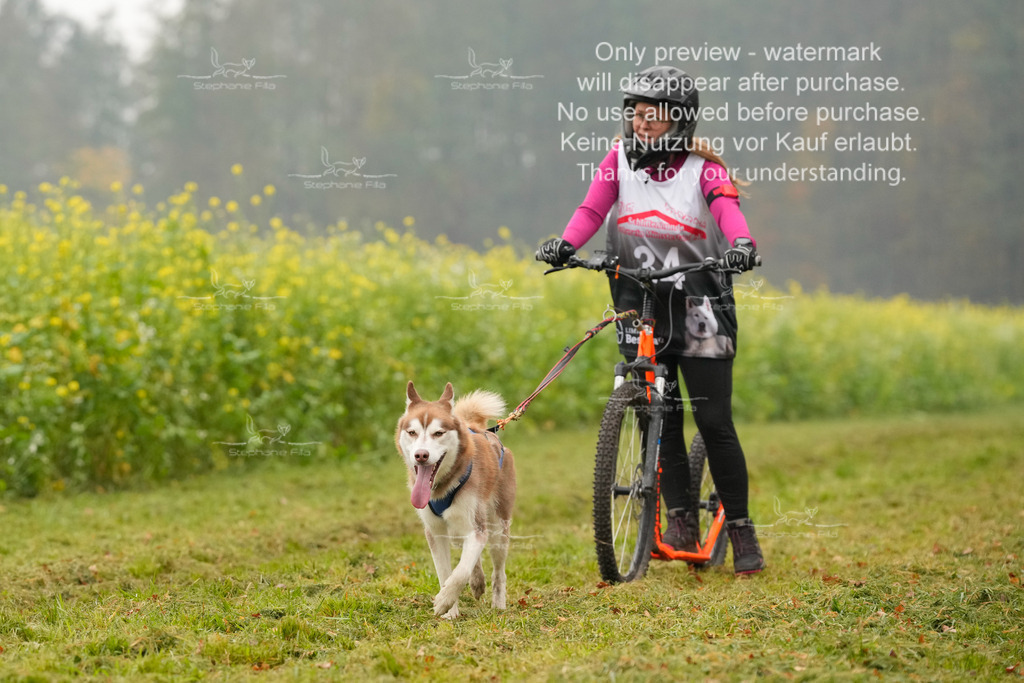 Visbeck_Sa_Scooter_Hc-161 | stephaniefillaphotographie - Realisiert mit Pictrs.com