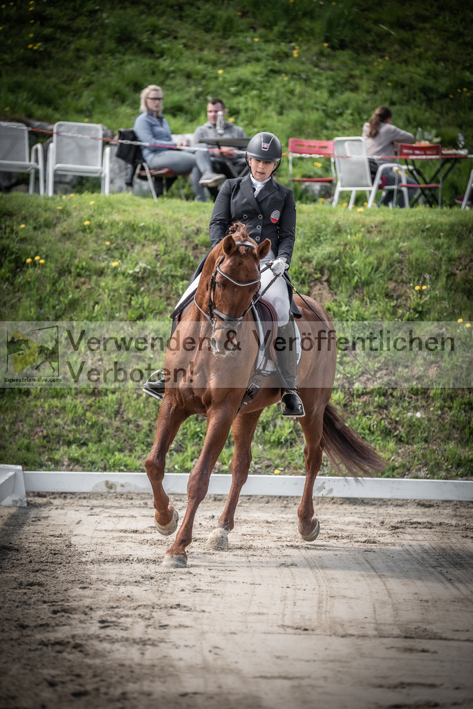 DSC_1417 | equestrian-live-com