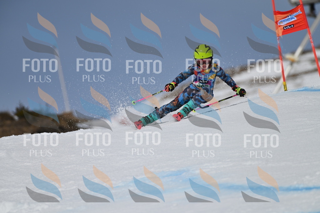 BGV_6036 | holidayphoto