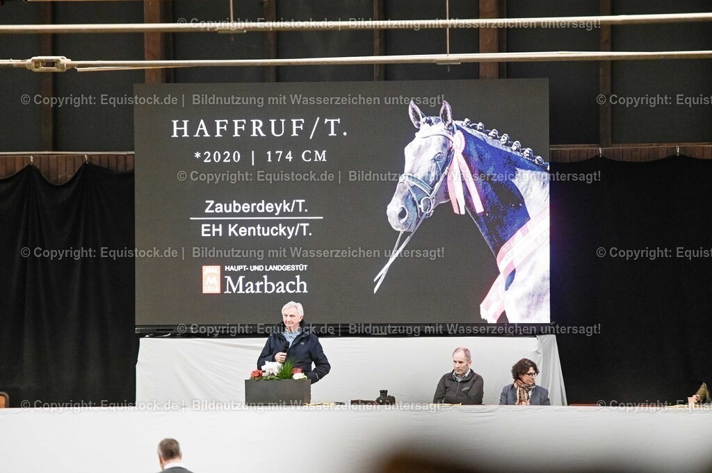 20260307_Hengstvorstellung-Marbach_0238 | equistock