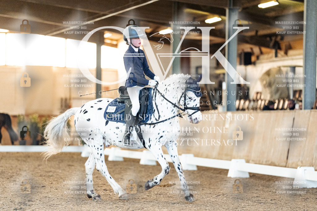 CK906869 | Turnierfotografie Pferdefotografie Trier Rheinland-Pfalz Pferdesport Reitsport Tierfotografie Sportfotografie Pferdevideo Pferdevideografie Equestrianvideography equestrianphotography  - Realisiert mit Pictrs.com