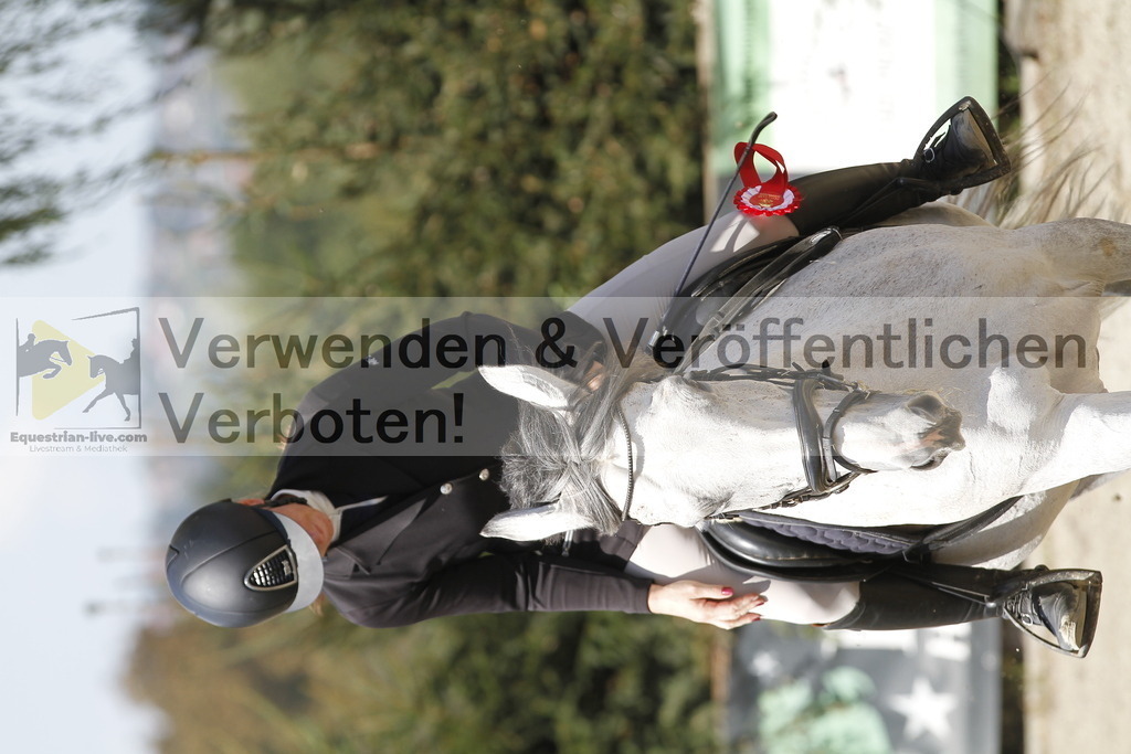 _MG_6678 | equestrian-live-com