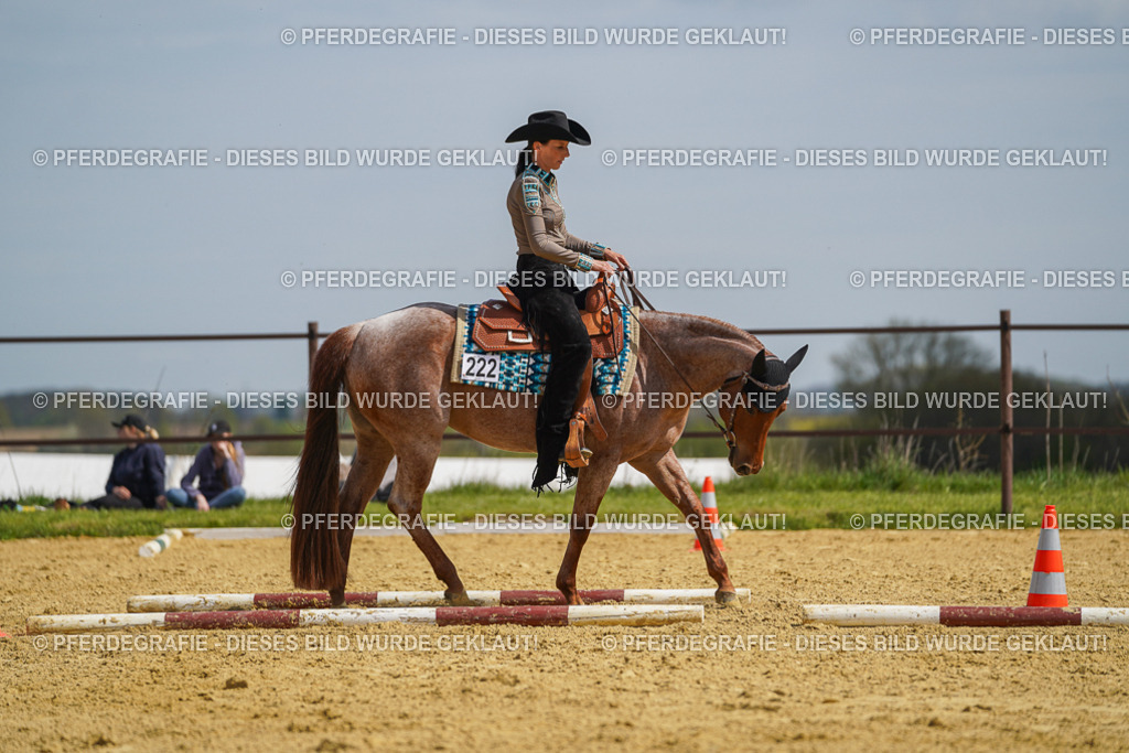 DSC04930 | Pferdegrafie