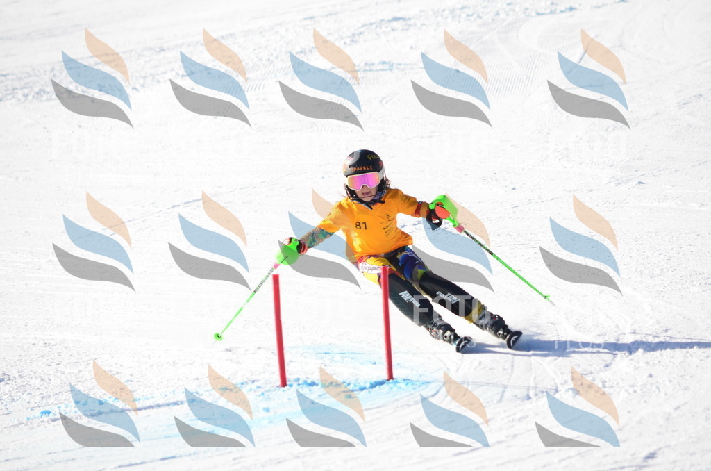 C5977 | holidayphoto