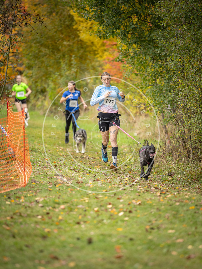 Pfotenfotografie_DV3A3875 | Hundefotografie, Tierfotograf, Pfotenfotografie, Fotoshooting Hund, Hunde Portrait, Hundesport, Hundeportraits, Heideshooting, Hunde, Sportfotograf, Hundefotograf, Turnierhundsport, THS,  - Realisiert mit Pictrs.com