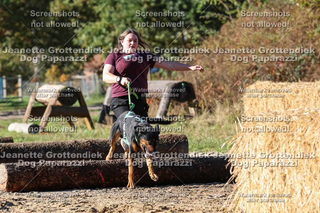 Dog Paparazzi - Strongdog 10-25-1888 | Dog Paparazzi Jeanette Grottendiek Fotografie & Videografie - Realisiert mit Pictrs.com