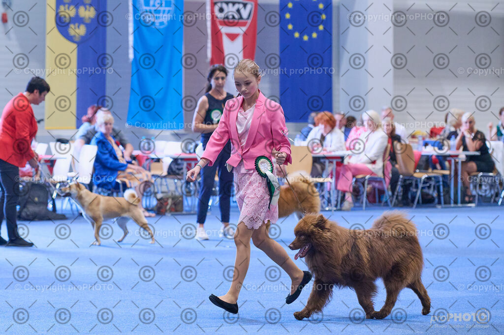 202406_ÖKV-IHA-Tulln24_DSC_3945 | proPHOTO - Realisiert mit Pictrs.com