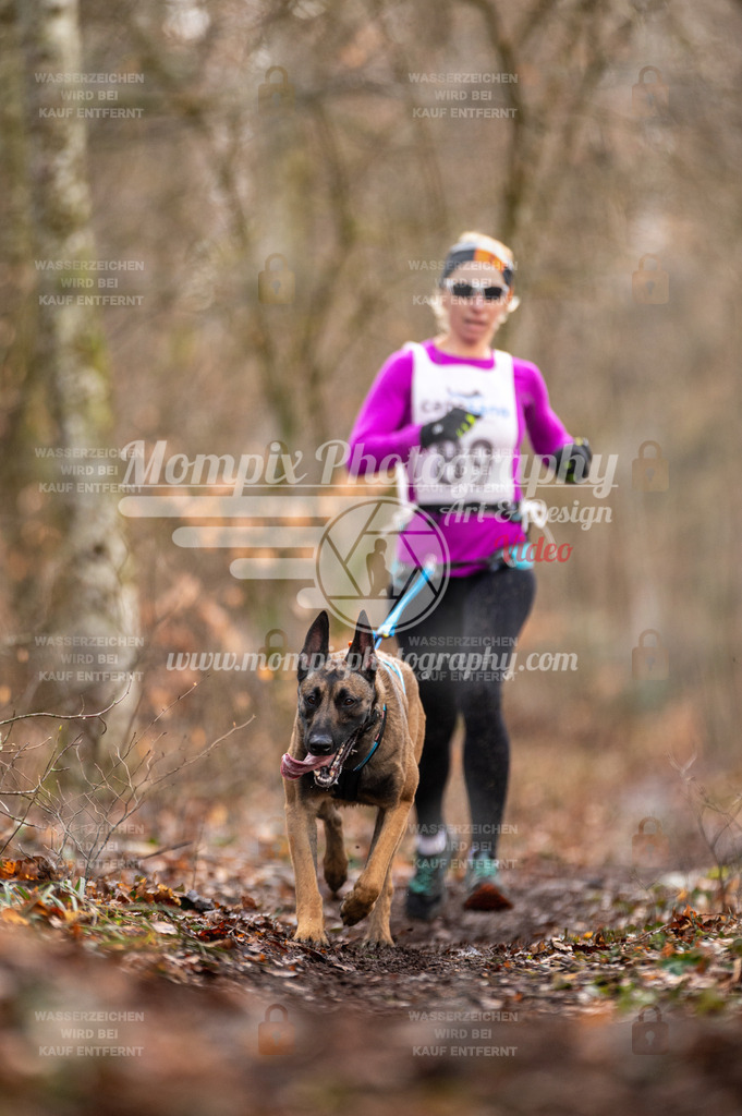 Reiat2023_SON_CaniXRun_8km_W-7 | PayLife