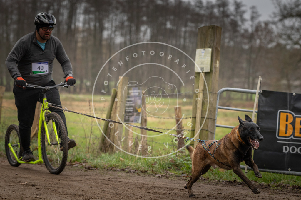 Pfotenfotografie_DV3A2586 | Hundefotografie, Tierfotograf, Pfotenfotografie, Fotoshooting Hund, Hunde Portrait, Hundesport, Hundeportraits, Heideshooting, Hunde, Sportfotograf, Hundefotograf, Turnierhundsport, THS,  - Realisiert mit Pictrs.com