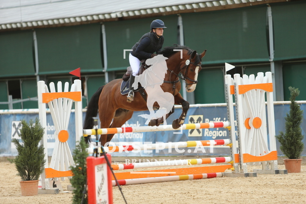 DL2Q6084 | Willkommen bei Brunnmayr - Design & Fotografie – Ihrem Spezialisten für Reitturniere und Pferdeveranstaltungen in Oberösterreich, Salzburg und Bayern! Seit über 17 Jahren sind wir leidenschaftlich dabei.