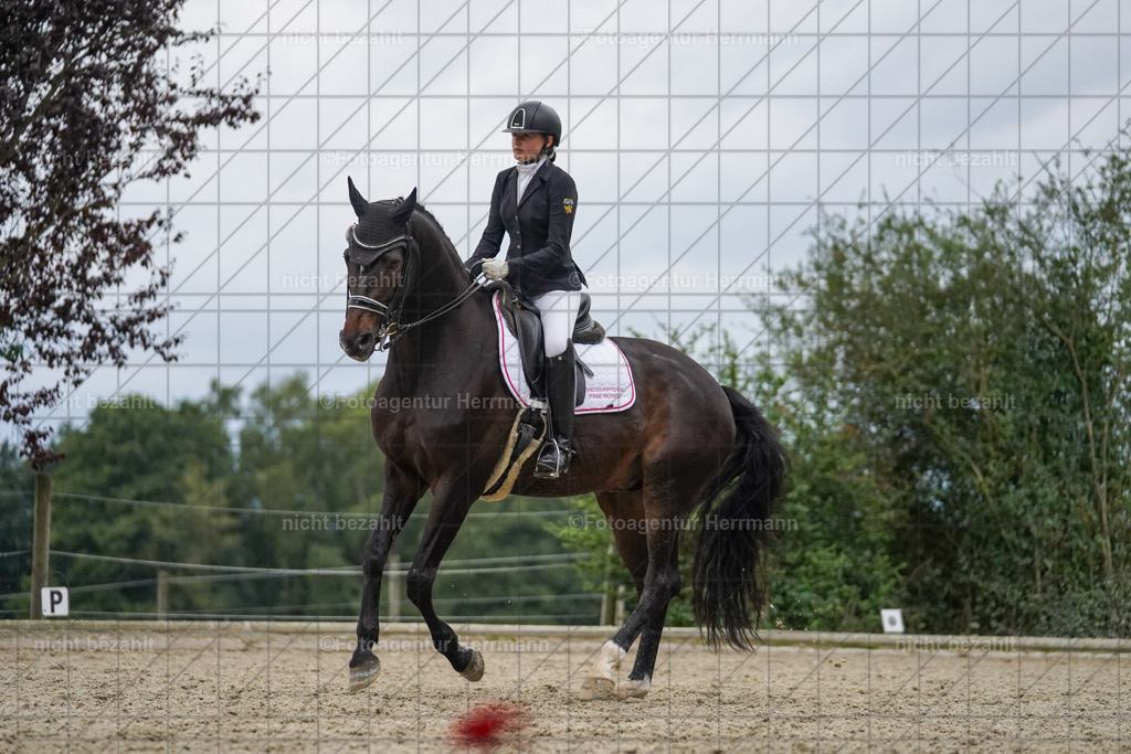20230826-FAH06328 | Forstinning, 2023, Dressurturnier, Turniersportbilder, Turnierfotografen Bayern, Fotoagentur Herrmann, Reitsportfotografie, Turnierbilder