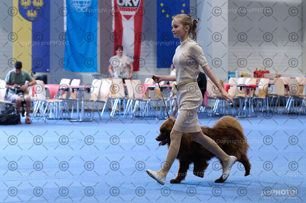 202406_ÖKV-IHA-Tulln24_DSC_4709 | proPHOTO - Realisiert mit Pictrs.com