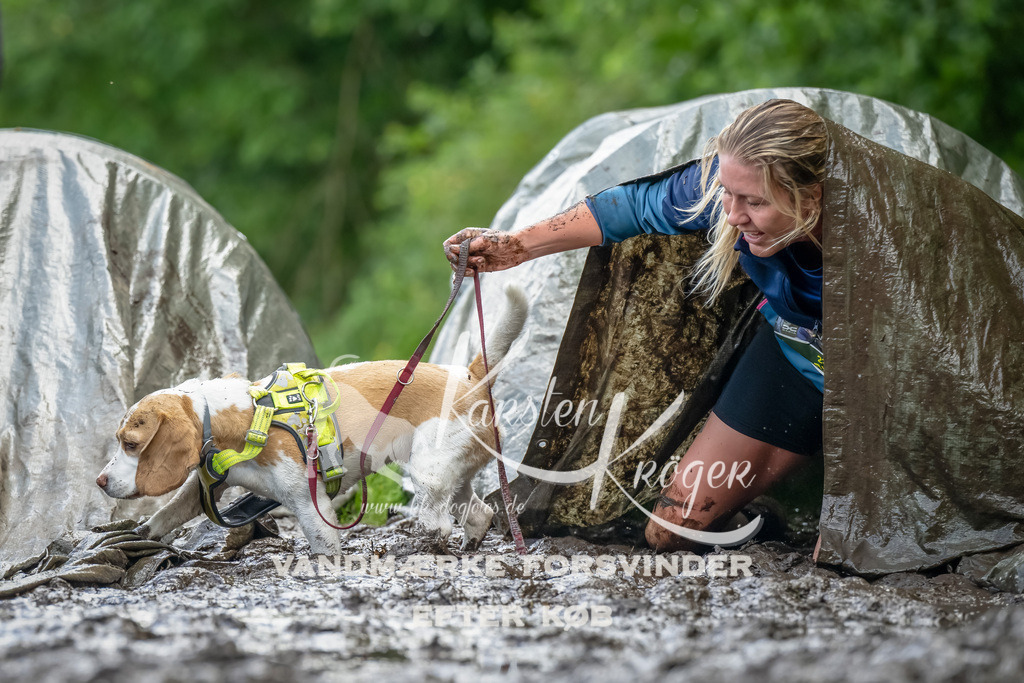 1141_ZZ93900-Bearbeitet | kk-dogfotos