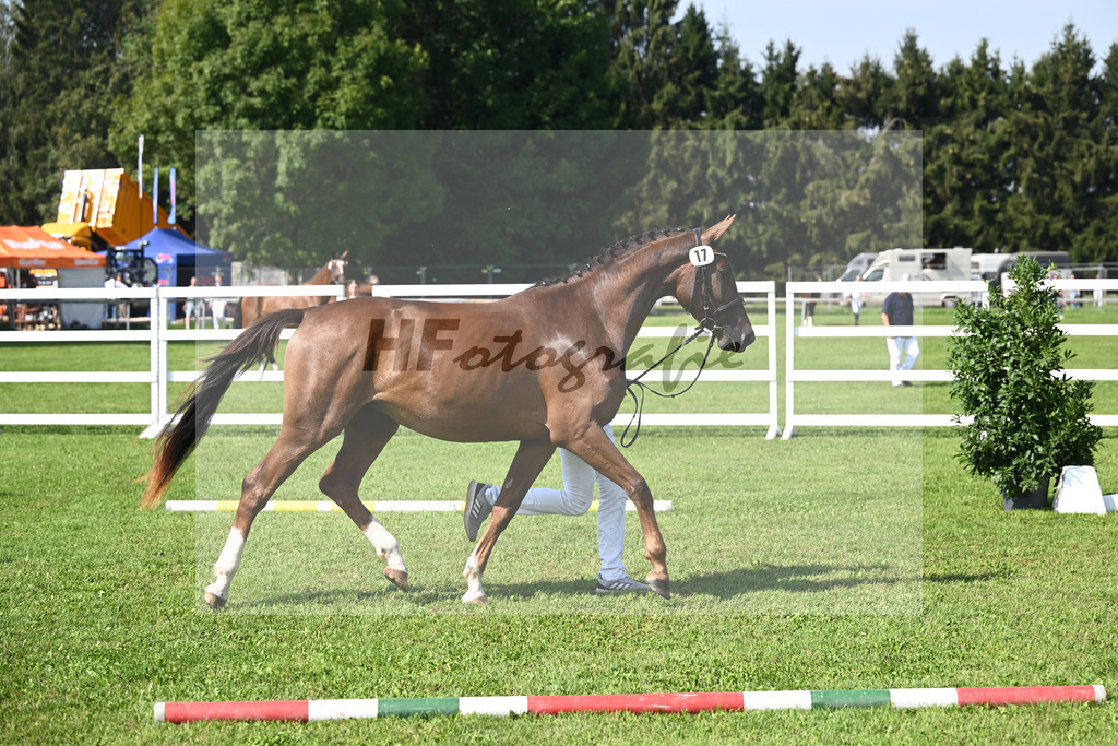 Kat-Nr. 17 nn v. Chardonnay_Wimmer_34240446 | hf-fotografie - Realisiert mit Pictrs.com