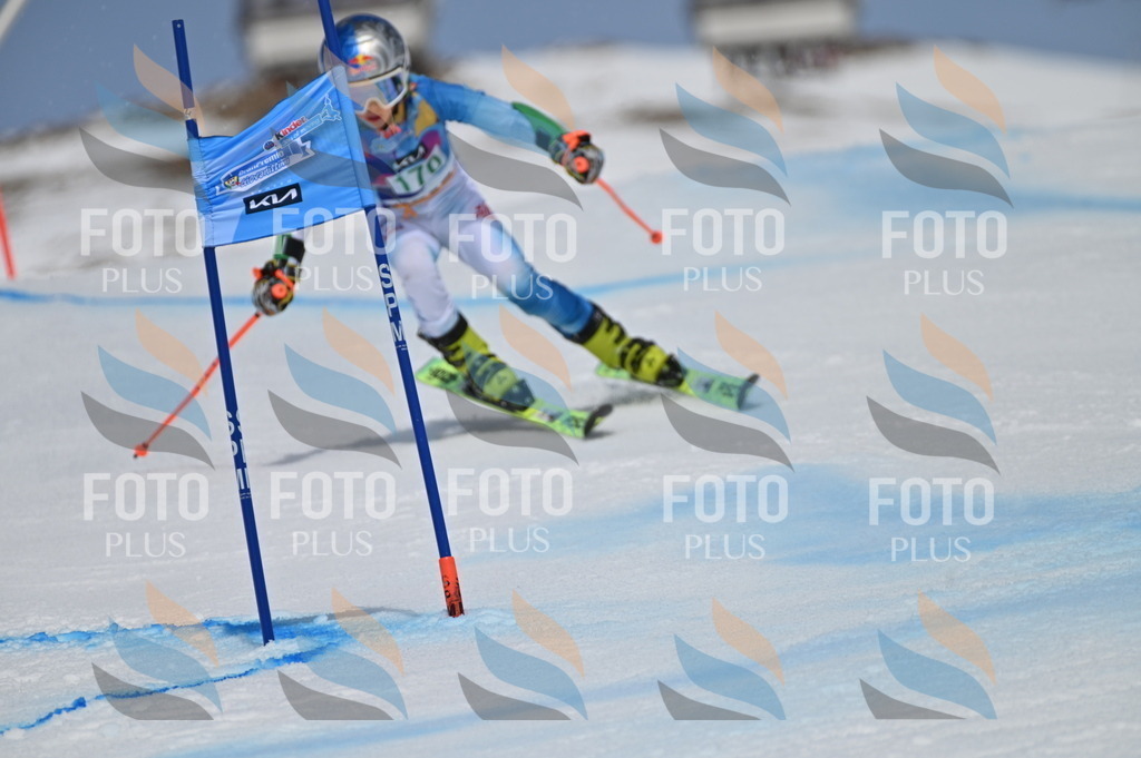 BGV_3358 | holidayphoto