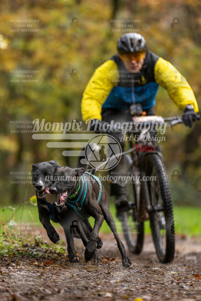 MompixPhotography_Bischwiller23_Bike2-5 | PayLife