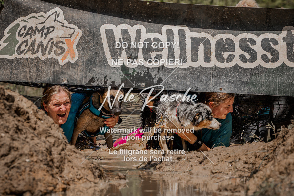 nelerasche_Hoope2026_Sa1300-1330_39 | nelerasche