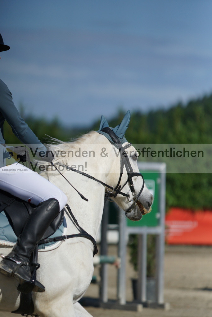 DSC06054 | equestrian-live-com