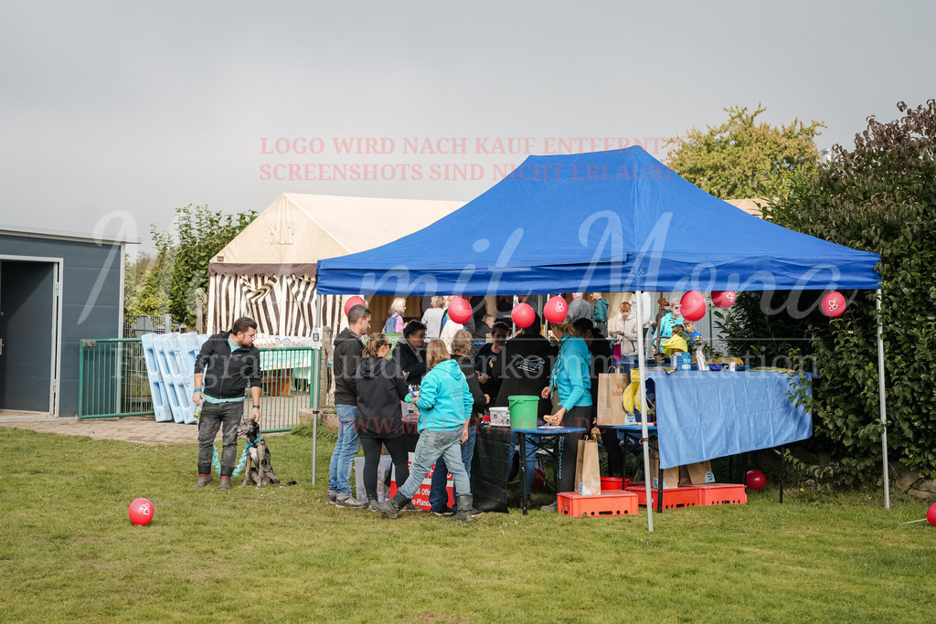 20250928_Hunderennen-349 | MuT (Mensch und Tier) mit Mona - Fotografie und Tierkommunikation - Realisiert mit Pictrs.com