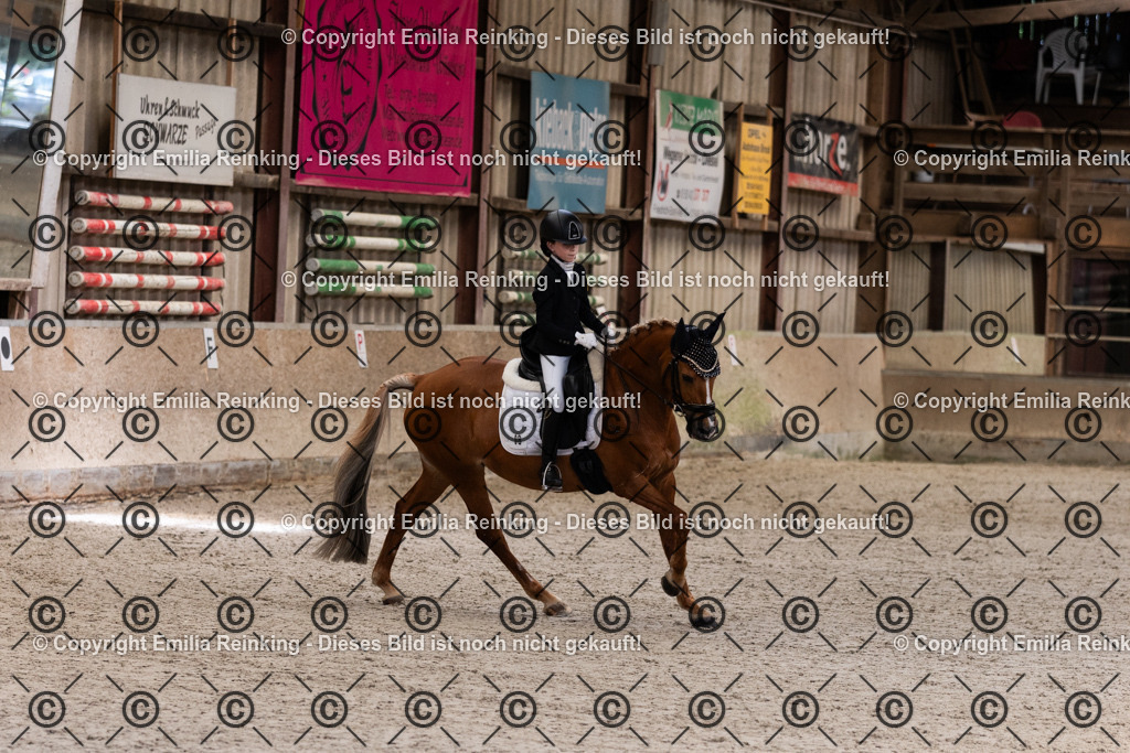 CL5A3844 | Emilia Reinking Fotografie - Realisiert mit Pictrs.com