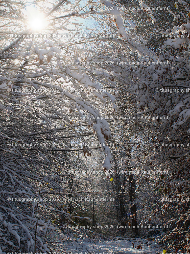 2025-11-21-titusgraphy-vz_PB207610_ln_13 | titusgraphy-shop: Geschenkideen mit Qualitätsfotos. titusgraphy-shop: gift ideas with quality photos. titusgraphy-shop: idées cadeaux avec photos de qualité.  - Realisiert mit Pictrs.com