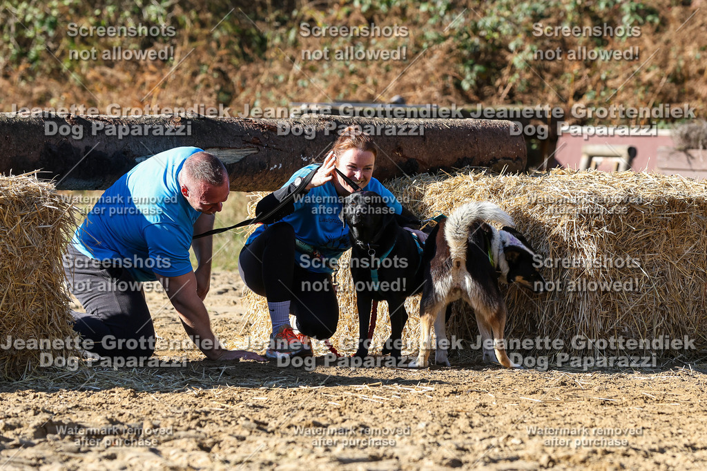 Dog Paparazzi - Strongdog 10-25-2817 | Dog Paparazzi Jeanette Grottendiek Fotografie & Videografie - Realisiert mit Pictrs.com