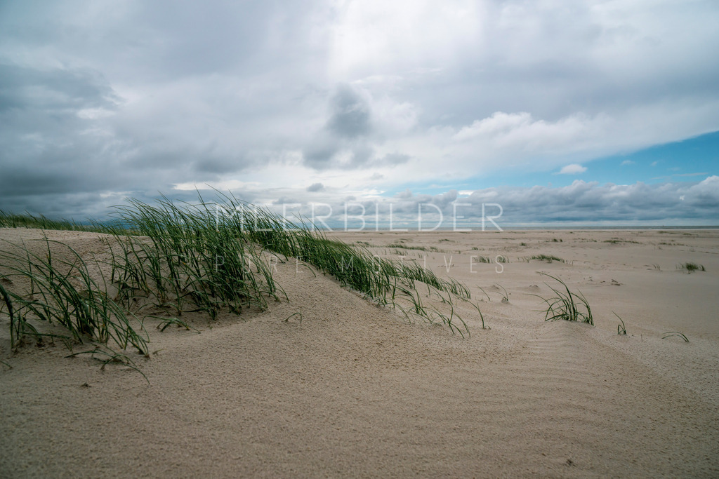 Nordsee // sanfte Dünen mit Dünengras bei Regen | Gestalten Sie Ihr Zuhause mit einzigartigen Bildern von Ostsee u. Nordsee – als Leinwandbild, Acryl, Alu-Dibond oder FineArt Hahnemühle, individuell anpassbar.